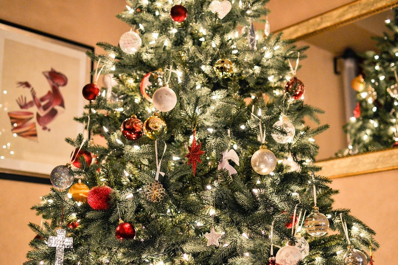 生モミの木でクリスマスツリー/ホワイトハウスのクリスマスツリー